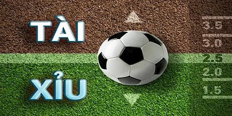Người chơi phân tích ưu nhược điểm trước khi đặt kèo tài xỉu 2.25